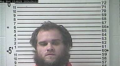 Avery Davis mugshot