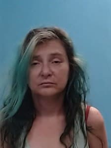 Patricia Lynn Wille mugshot
