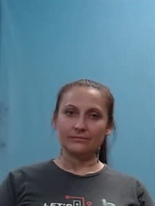 Tracey Lynn Elliott mugshot