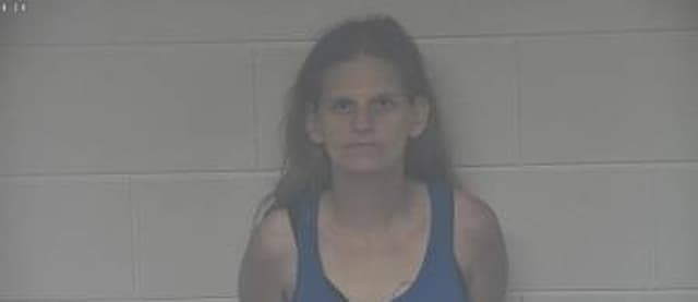 Breanna Harman mugshot
