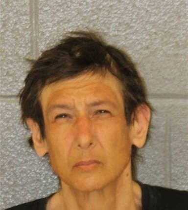 Brenda Kolcum mugshot