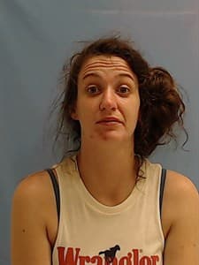 Laura Lee Wright mugshot