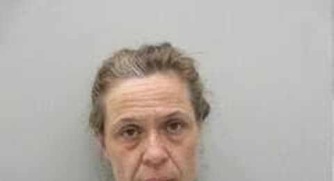 Cathy Cobler mugshot