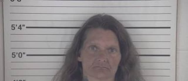 Christine Paulino mugshot
