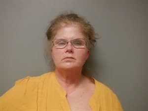 April Lynn Anglin mugshot