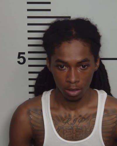 DAVID L GRANT mugshot