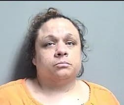 Amy Lee Fell mugshot