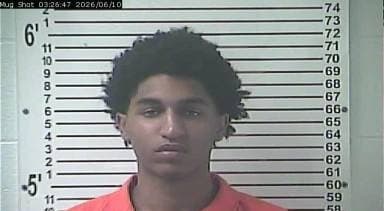 Desmond Gregory mugshot