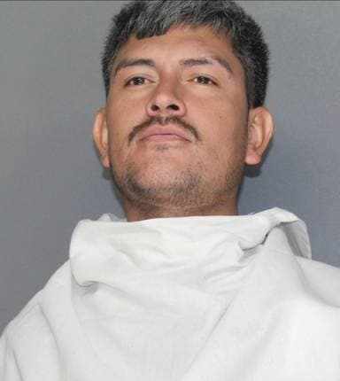 Diego ArroyoMeza mugshot