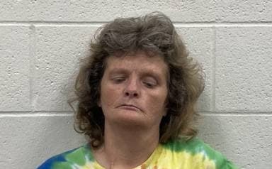 Donna Beverly mugshot