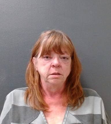 Elizabeth Hartung mugshot