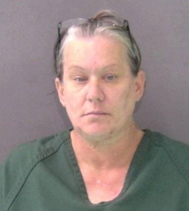 Elizabeth Mahin mugshot