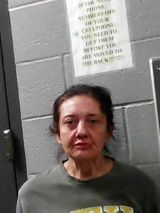 Loucinda Onofre mugshot