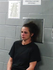 Sarah Joellen Brown mugshot