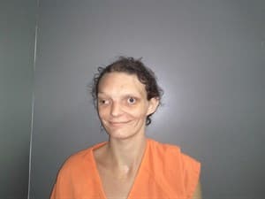 Destiny Jane Wilson mugshot