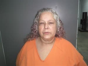 Jennifer Dian Flynn mugshot