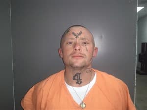 Logan James Dobbs mugshot