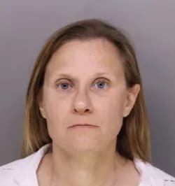 Alicia Stebbins mugshot