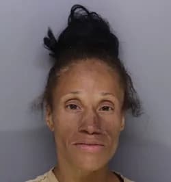 Amber Wagner mugshot