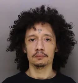 Dmitri Genereux mugshot