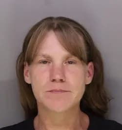 Michele Williams mugshot
