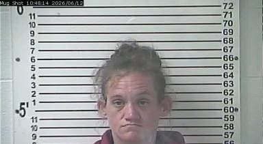 Heather Gillock mugshot