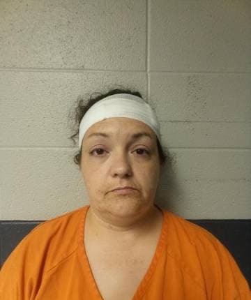 Heather Pujol mugshot