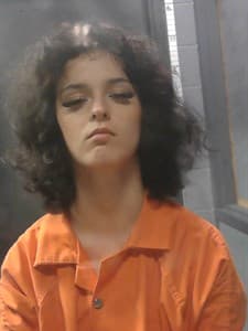 Dixie Ann Stone mugshot