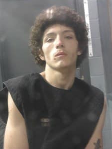 Ronnie Lynn Ray mugshot