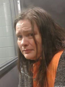 Waynette Renee Britt mugshot