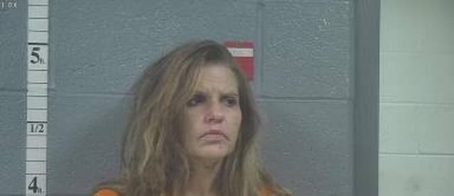Julie Langford mugshot