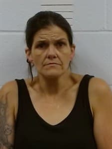 Misty Dunlap/Williams mugshot