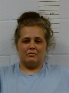 Melissa Ann Wolfe mugshot