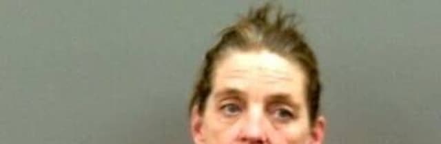 Lisa Mitchell mugshot
