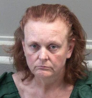 Lisa Smith mugshot