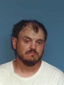Brian Henry Turner mugshot