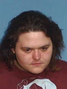 Haley Renee Murray mugshot