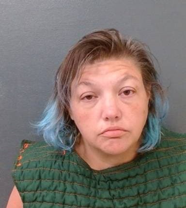 Maggie Vann mugshot