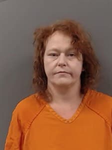 Barbara Sue Lutz mugshot