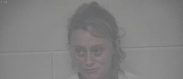 Megan Goodrich mugshot