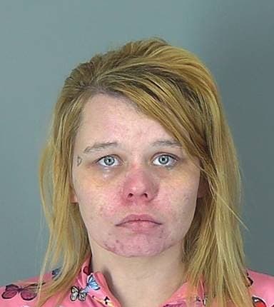 Meghan Hutchins mugshot