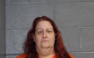 Melissa Kono mugshot