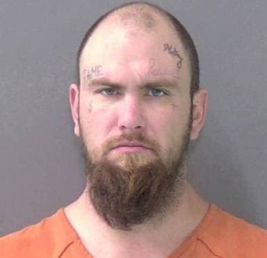 Michael Harrison mugshot