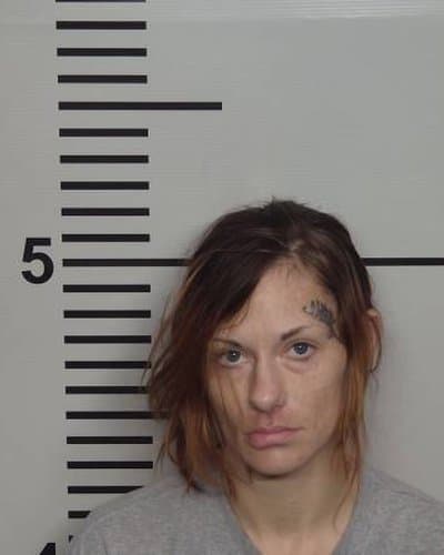 NICHOLE K SILVERSTEIN mugshot
