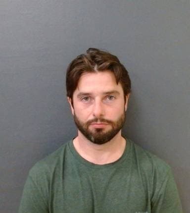 Nicholas David mugshot