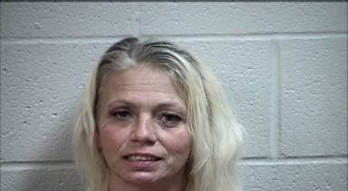 Rita Davis mugshot