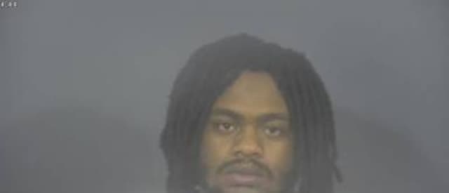 Robert Hollins mugshot