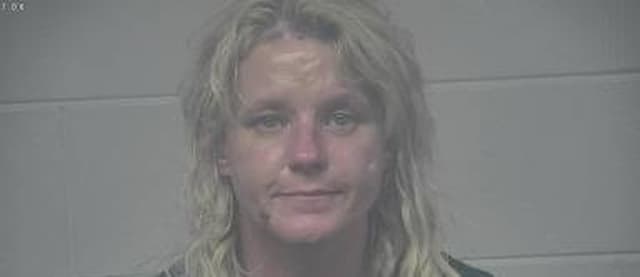 Robin Kyzer mugshot