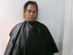 Rebecca Cox mugshot