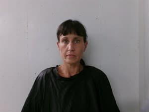 Alinda Ann Whittington mugshot